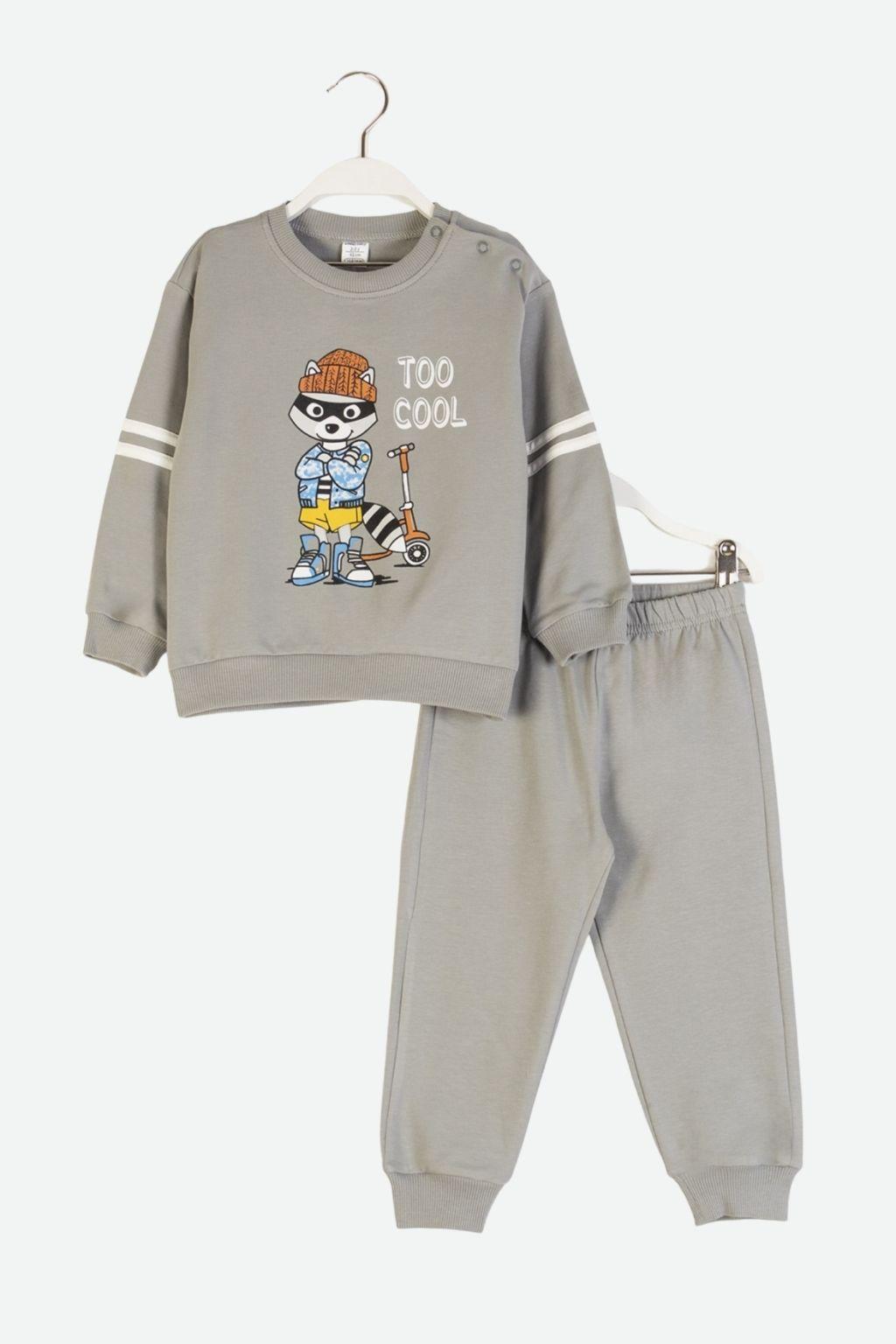 Erkek Bebek 9-36 Ay İkili Gri Takım